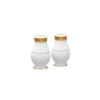 Noritake Odessa Gold Salt & Pepper