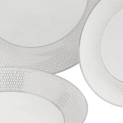 Wedgwood Gio Platinum 12 Piece Set -Tableware Discount Store 701587469463 Wedgwood Gio Platinum Gio Platinum 12PPS Bxd Product detailcopy