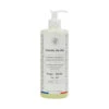 Andree Jardin Dishwashing Liquid - Eco Friendly | Sage And Basil