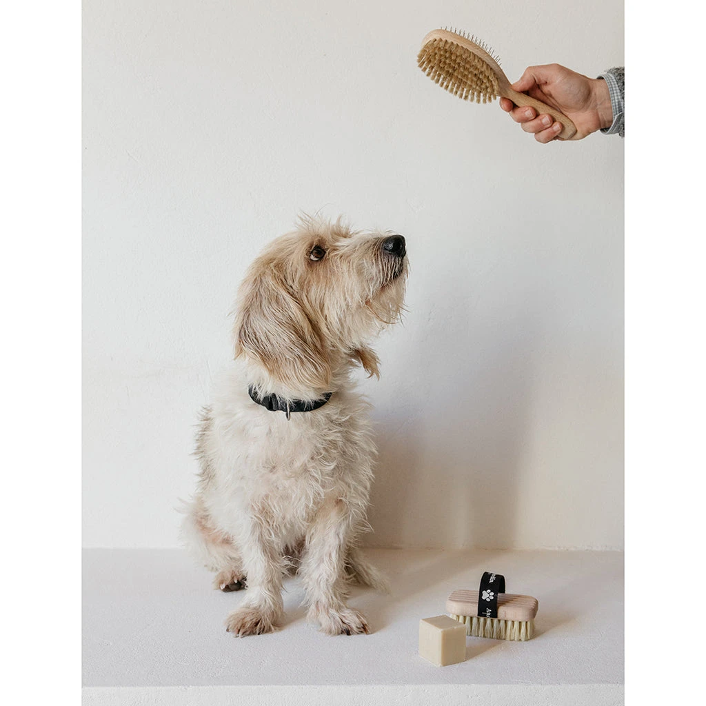 Andree Jardin Double Sided Pet Brush 3 Andree Jardin Double Sided Pet Brush - Image 3