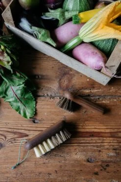 Andree Jardin Hard & Soft Bristle Vegetable Brush | Ash Wood -Tableware Discount Store Andree Jardin Hard Soft bristle Vegetable Brush ash wood 3