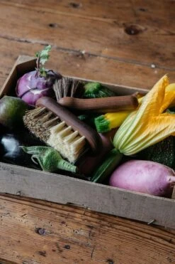 Andree Jardin Hard & Soft Bristle Vegetable Brush | Ash Wood -Tableware Discount Store Andree Jardin Hard Soft bristle Vegetable Brush ash wood 4