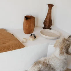 Andree Jardin Pet Bath & Massage Brush With Marseille Natural Soap 6 Andree Jardin Pet Bath & Massage Brush With Marseille Natural Soap -Tableware Discount Store Andree Jardin Pet Bath Massage brush with Marseille natural soap 3