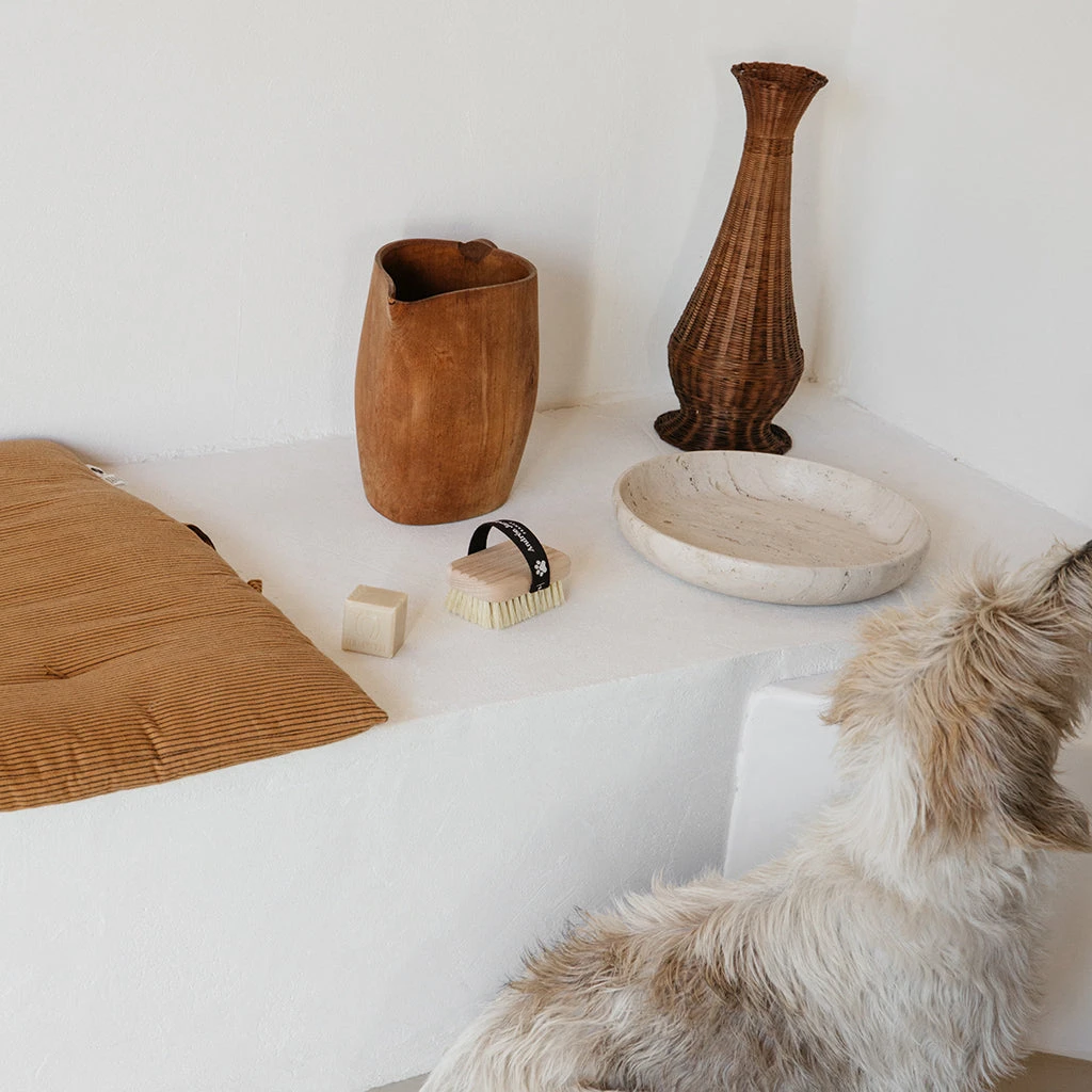 Andree Jardin Pet Bath & Massage Brush With Marseille Natural Soap 3 Andree Jardin Pet Bath & Massage Brush With Marseille Natural Soap - Image 3