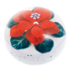 Caithness Glass Winter Poinsettia -Tableware Discount Store Caithness Glass Winter Poinsettia 3 40201e72 e36a 457f 84a7 086b5d7b9d5a