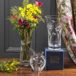 Royal Scot Crystal Dragonfly Large Jug 11 Royal Scot Crystal Dragonfly Large Jug -Tableware Discount Store Royal Scot Crystal Dragonfly Large Jug 3