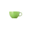 Thomas China Sunny Day Apple Green Low Tea Cup No.4