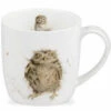 Wrendale What A Hoot Owl Mug