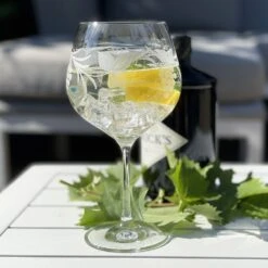 Royal Scot Crystal Grapevine G & T Copa Glass -Tableware Discount Store vine1gin 01 1000 2