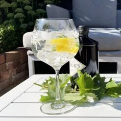 Royal Scot Crystal Grapevine G & T Copa Glass -Tableware Discount Store vine1gin 02 1000